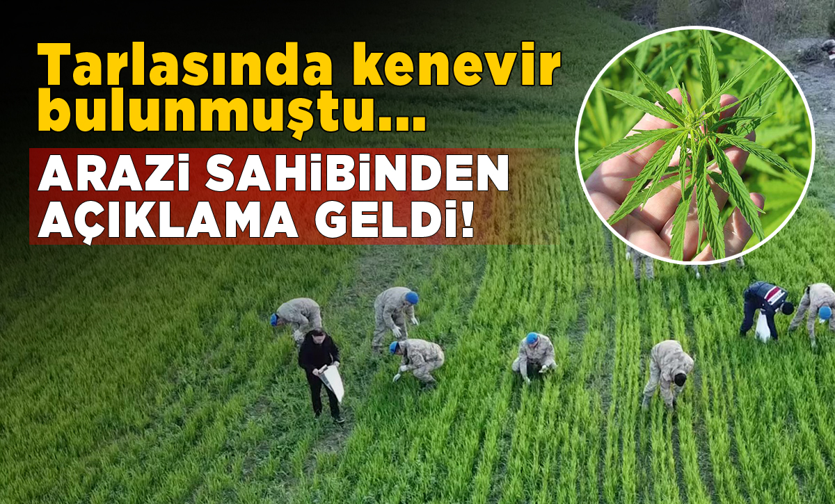 Sinop’taki tarlasında kenevir bulunan vatandaş konuştu